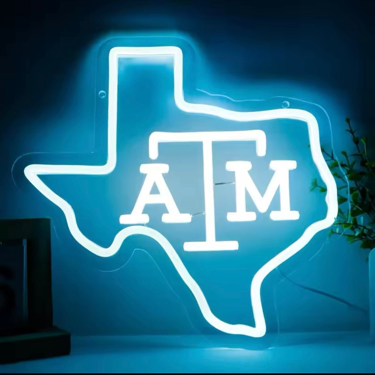 A&M Neon